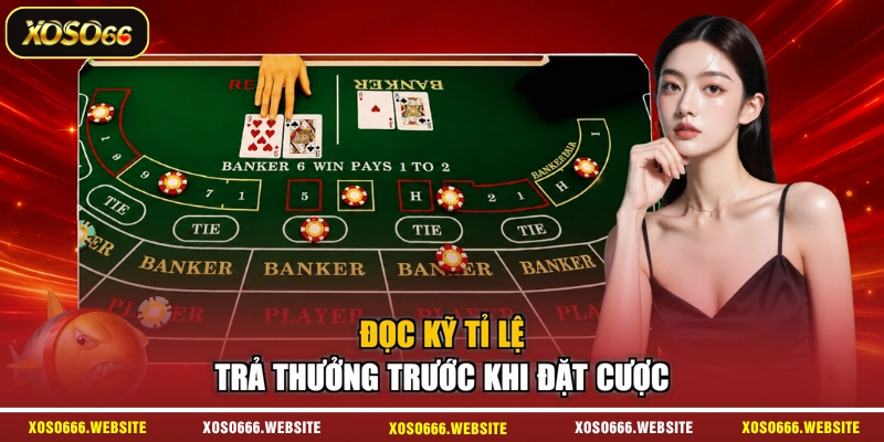 Đọc kỹ tỉ lệ trả thưởng trước khi đặt cược
