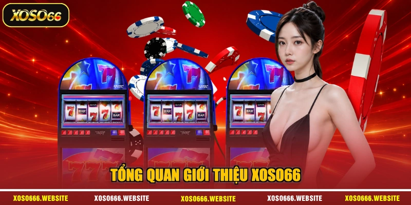Tổng quan giới thiệu XOSO66